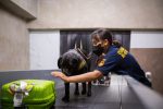 Sebagai institusi yang bertugas mengawasi lalu lintas barang di wilayah pabean, Bea Cukai memegang peranan strategis dalam memutus rantai suplai narkotika lintas negara.