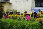 Hasil panen kemudian dibagikan kepada masyarakat yang melintas serta peserta yang hadir