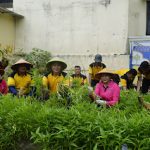 Hasil panen kemudian dibagikan kepada masyarakat yang melintas serta peserta yang hadir