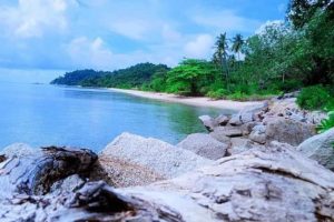 Pulau Pekajang, yang berada dalam gugusan Pulau Tujuh di bawah Pulau Singkep, tercatat sebagai bagian dari wilayah Kerajaan Lingga-Riau