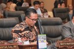 Anggota DPRD Kepri, Wahyu Wahyudin, SE., MM mendorong pemerintah provinsi untuk lebih kreatif dan inovatif