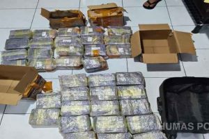 Tim gabungan Satuan Brimob Polda Sumatera Utara dan Badan Narkotika Nasional Provinsi (BNNP) Sumut berhasil mengungkap jaringan peredaran gelap narkotika di Kota Medan. Juli 15, 2025.