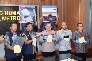 Regalia News