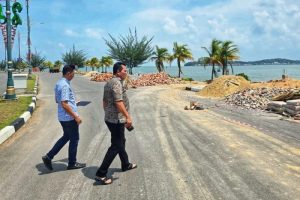 Pemerintah Provinsi Kepulauan Riau melalui Dinas Pekerjaan Umum, Penataan Ruang, dan Pertanahan (PUPP) kembali melaksanakan penataan lanjutan di Taman Gurindam 12, kawasan Tepi Laut, Tanjungpinang, pada 2025 ini.