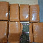 Penangkapan yang berlangsung di kawasan Pasar 9, Desa Manunggal, Kecamatan Labuhan Deli, pada Rabu (6/8/2025).