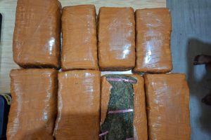 Penangkapan yang berlangsung di kawasan Pasar 9, Desa Manunggal, Kecamatan Labuhan Deli, pada Rabu (6/8/2025).