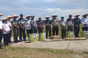 TNI dan Polri bersama petani lokal menggelar Panen Raya Padi di Nagori Maligas Bayu, Kecamatan Hutabayuraja, Kabupaten Simalungun. Simalungun, 3 September 2025