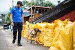 Gagalkan Penyelundupan 5,1 Kg Sabu di Tembilahan
